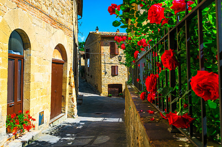 Flowery garden and paved street, an Architecture Photo by Alpine Dreams