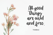 Sunshower Script, a Script Font by Beck McCormick (Thumbnail 7 of 10)