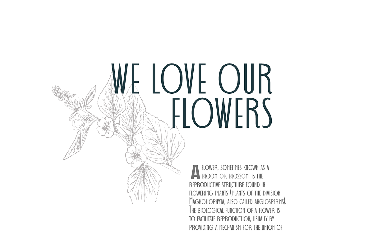 Decohead Art Deco Font, a Sans Serif Font by Headfonts (Photo 8 of 10)