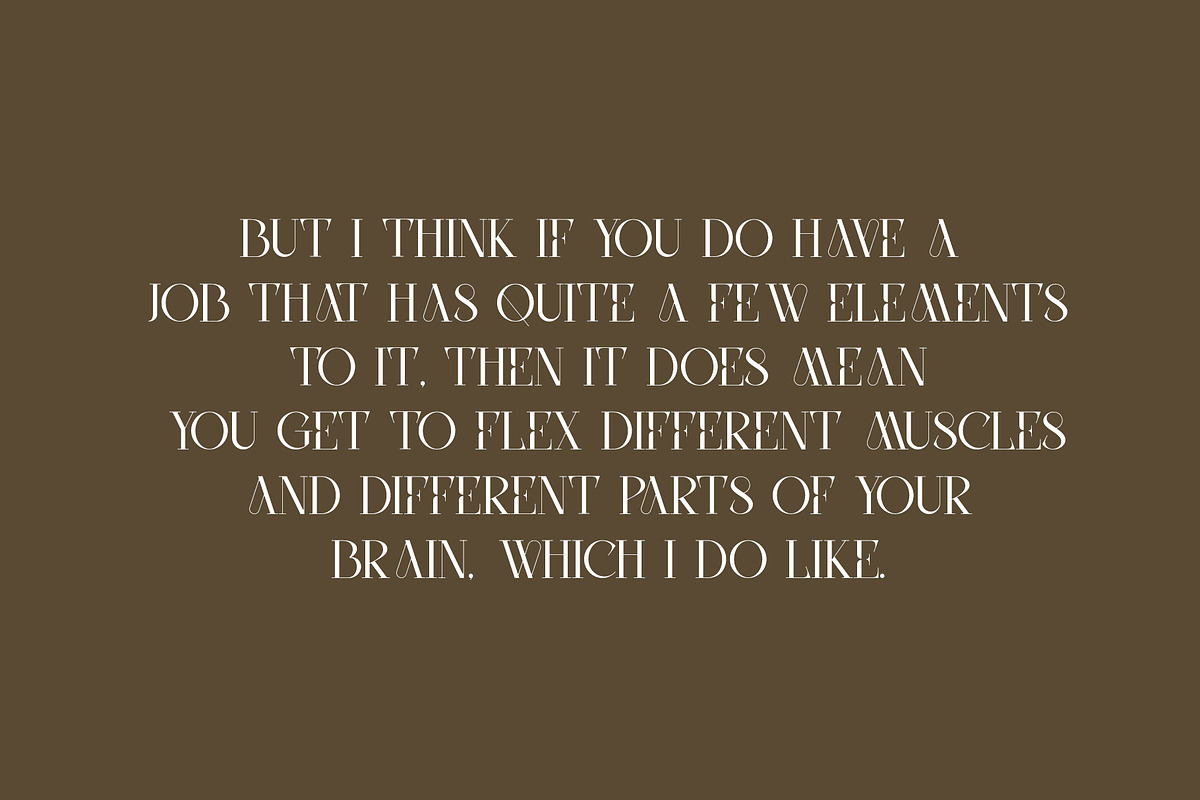 DEVITO - Modern Ligature Serif Font, a Serif Font by AnnofaType (Photo 5 of 8)