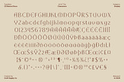 CS Marius Disco, a Serif Font by Craft Supply Co. (Thumbnail 8 of 8)