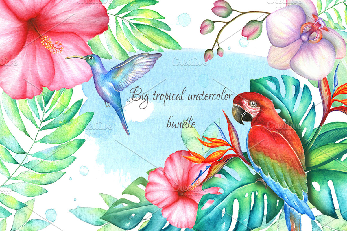 Big tropical bundle, an Illustration by artdreamer (Photo 1 of 10)
