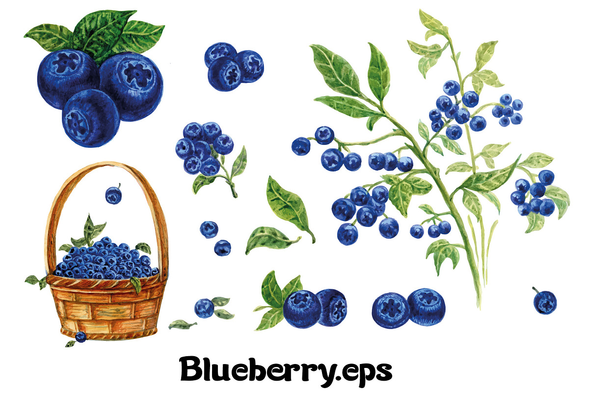 Fruits and berries collection_part 1, an Illustration by ZotovShop (Photo 6 of 20)