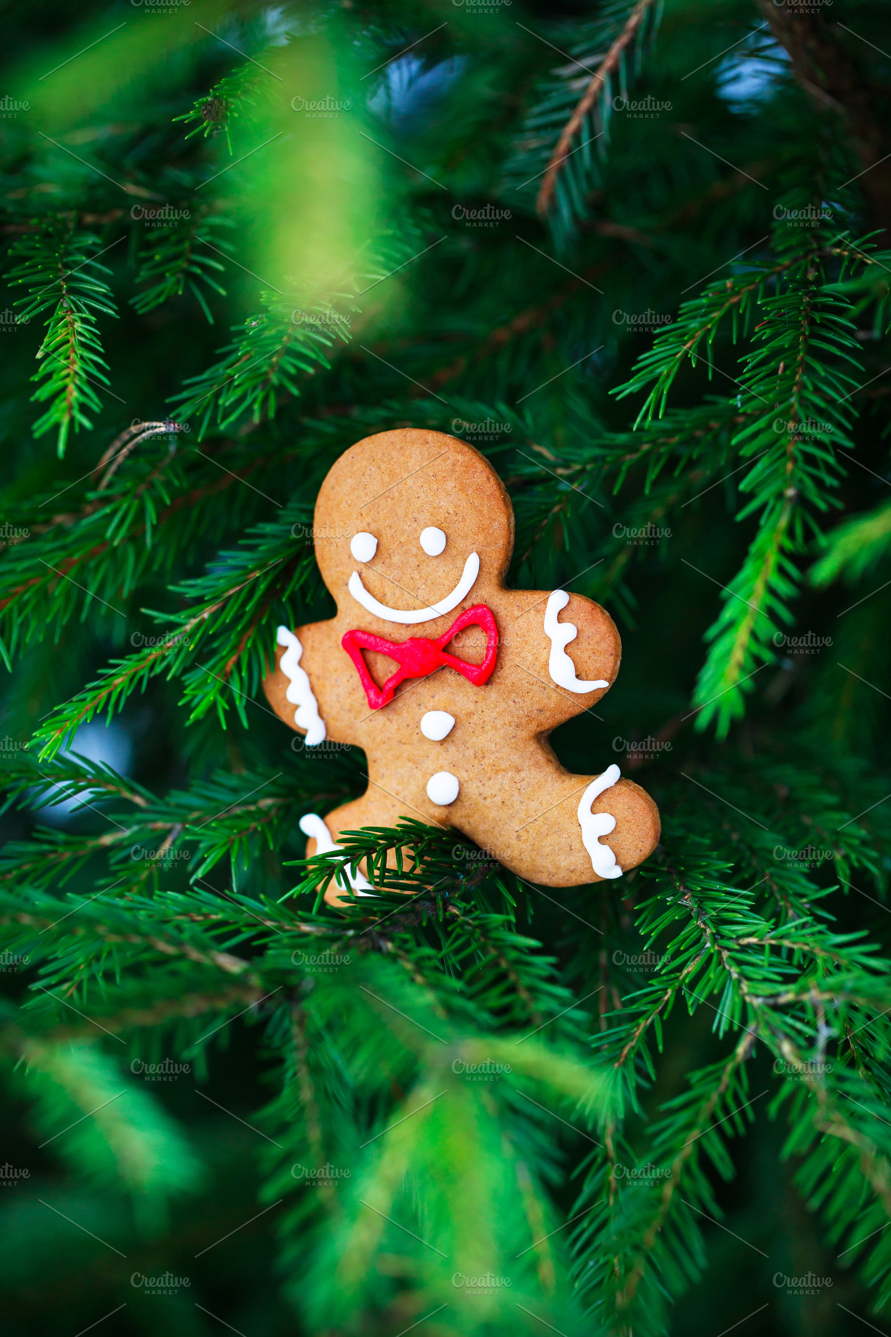 Cute Gingerbreadman Christmas cookie, a Holiday Photo by Kate S