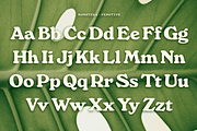 Monstera - Delicious Retro Serif, a Serif Font by Fenotype (Thumbnail 4 of 13)