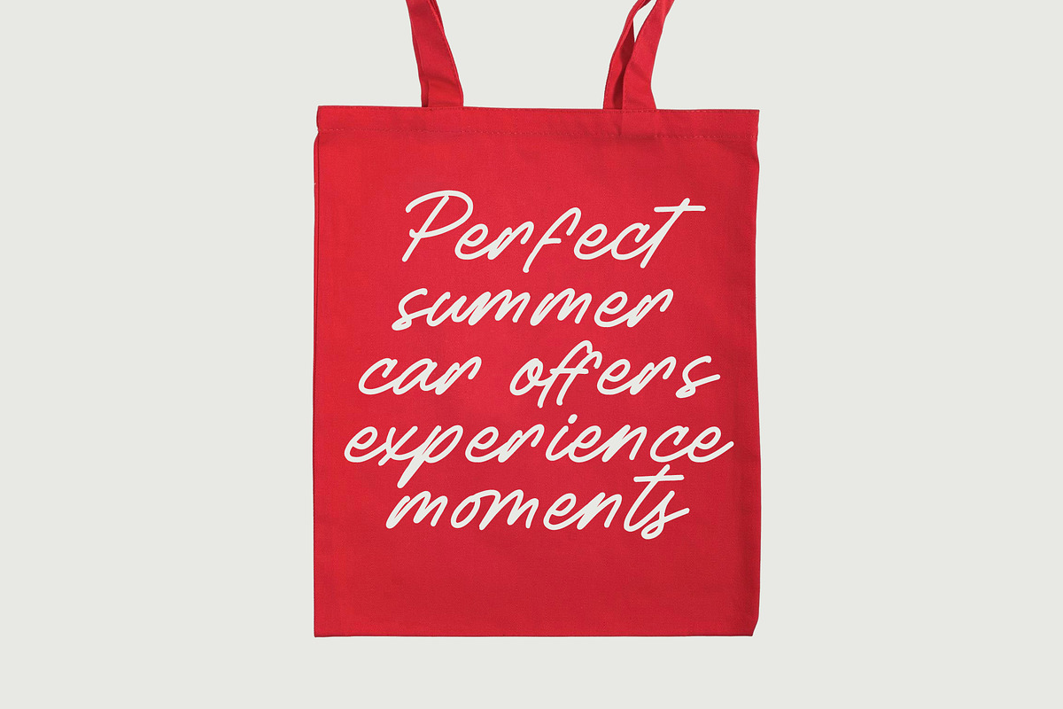 Betany Salena Monoline Brush Font, a Script Font by Letterena Studios Script (Photo 5 of 15)