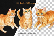 15 Bundle Watercolor Orange Cats Pet, an Animal Illustration by Morspective (Thumbnail 2 of 8)