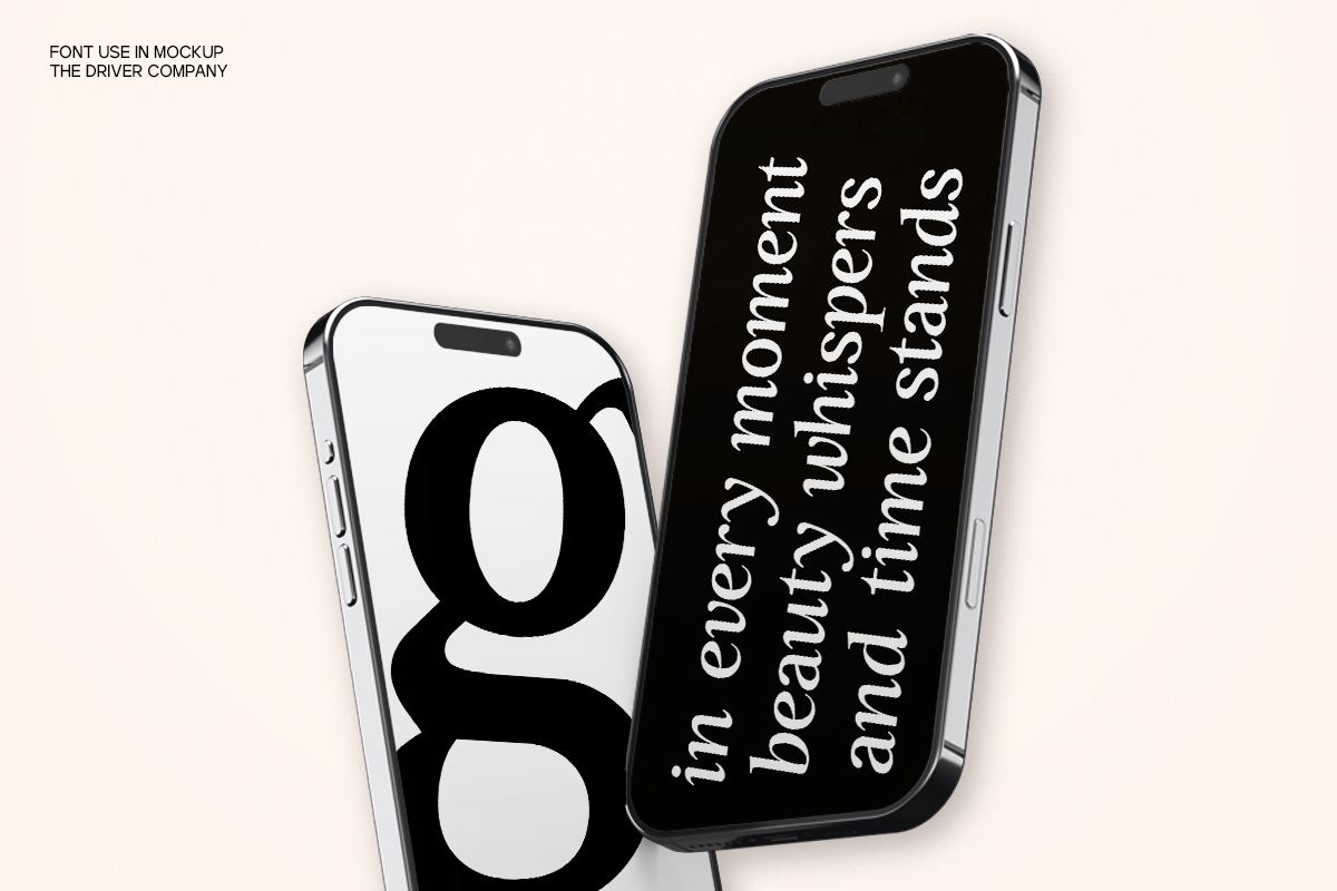 GC Driver Company - Serif Italic, a Serif Font by Glyphonic (Photo 5 of 15)