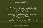 Amateurism Vintage Cursive Font, a Script Font by Ashiya Pixel (Thumbnail 5 of 7)