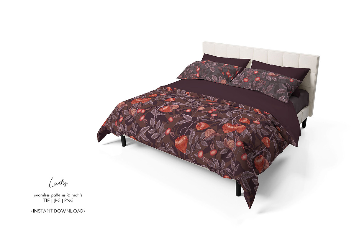 PHYSALIS GARDEN — Botanical Patterns, a Decorative Illustration by Liiafis (Photo 16 of 17)