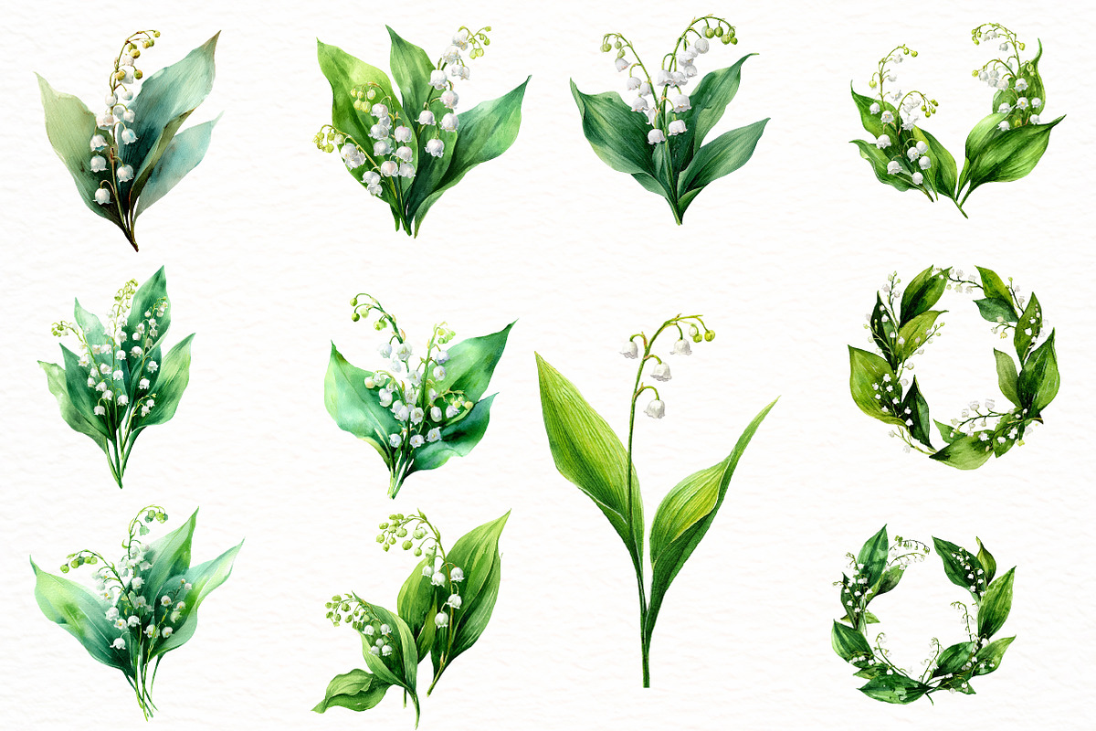 Watercolor Lily clipart, an Illustration by Designworld (Photo 4 of 4)