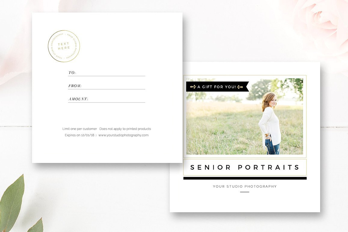 Senior Photography Marketing Set, a Flyer Template by By Stephanie Design (Photo 3 of 8)