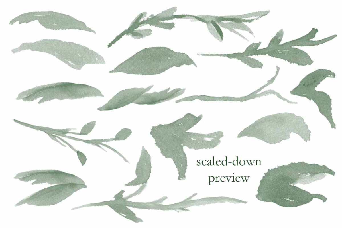 Botanical Brush Collection, a Brush Add-On by Chelsea Bromley (Photo 2 of 4)