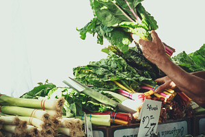 At the farmers market containing vegetables, fresh, and farm to table