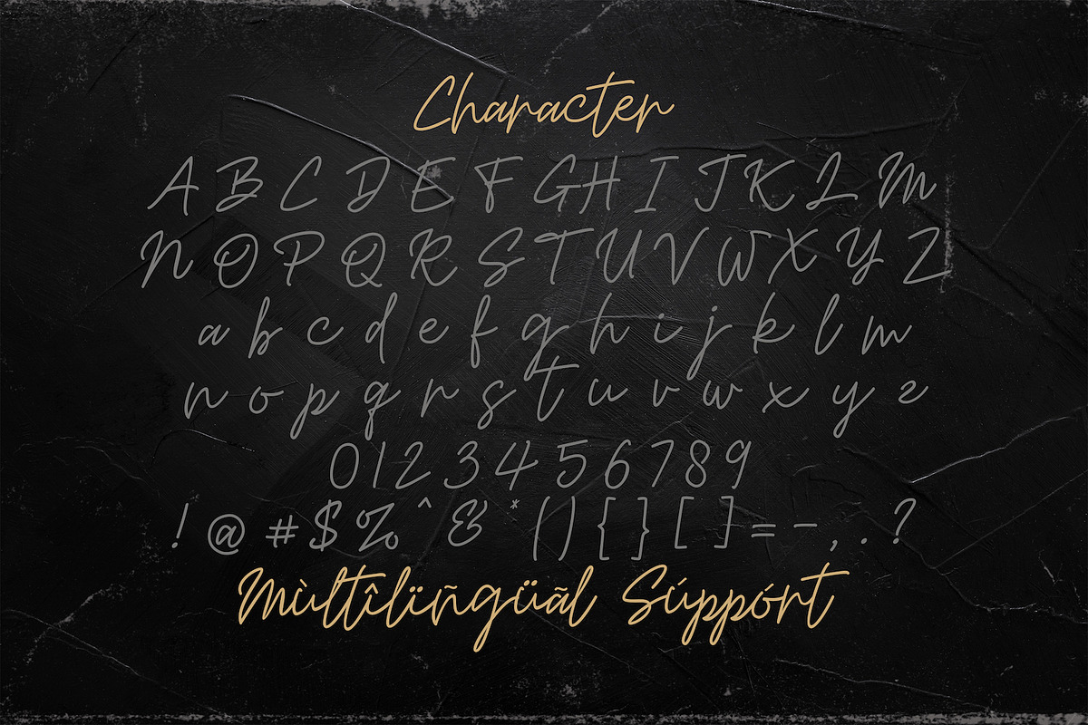 Mashiya - Monoline Script Font, a Script Font by StringLabs (Photo 8 of 9)