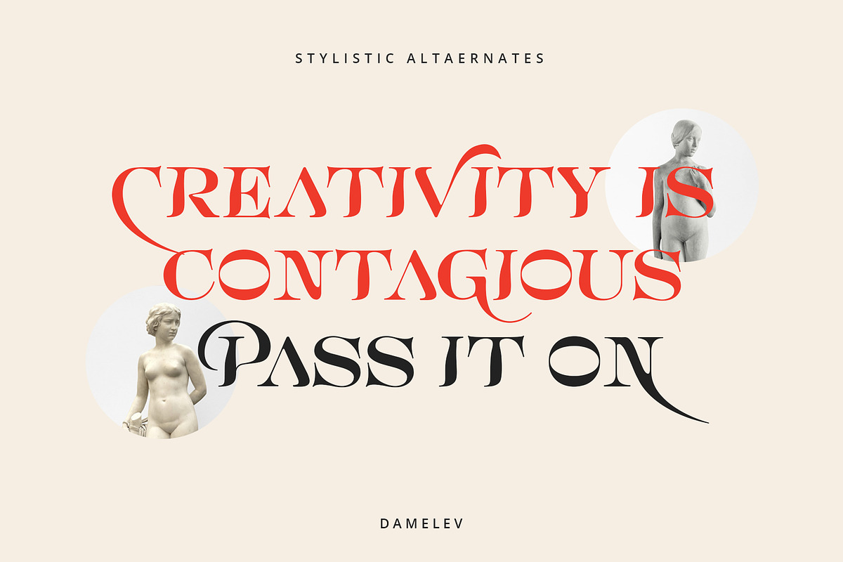 Bornice Modern Serif, a Serif Font by Damelev (Photo 7 of 13)