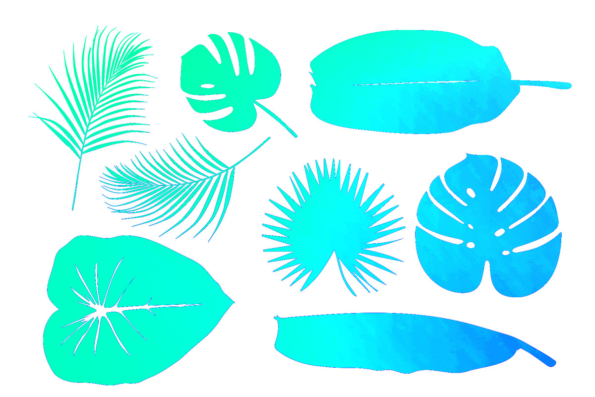 Tropical Leaves, a Shape Add-On by studio m (Photo 2 of 4)