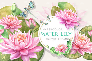 Watercolor Pink Waterlily clipart