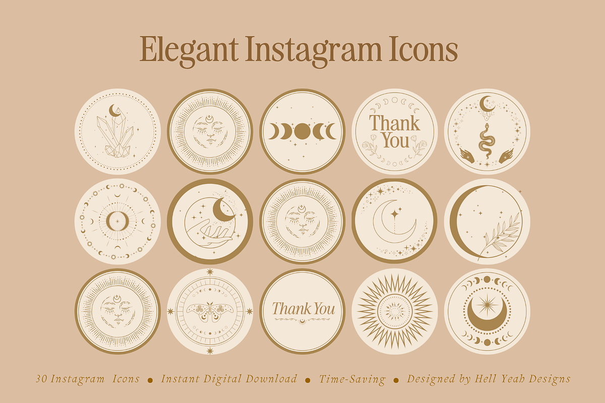 Elegant Instagram Icons, a Solid Icon by Hell Yeah Designs (Photo 1 of 3)