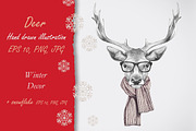 Deer / Winter time, an Animal Illustration by Victoria_Novak (Thumbnail 1 of 3)