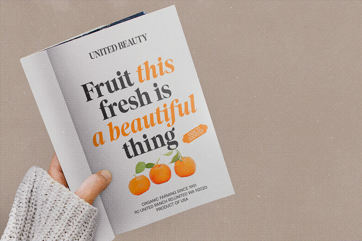 The Reading Display, a Serif Font by Mulkan Nazir (Photo 14 of 14)