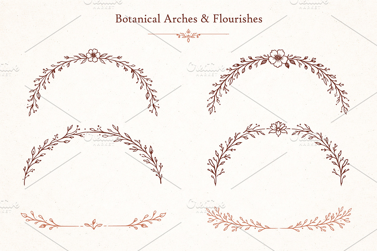 52 Botanical Frames & Ornaments, an Object Graphic by Christine Krahl (Photo 4 of 8)