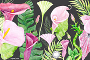 Watercolor clipart Pink Calla, an Illustration by AqwaColor (Thumbnail 3 of 3)