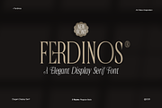 Ferdinos, a Serif Font by Dora Typefoundry (Thumbnail 1 of 14)