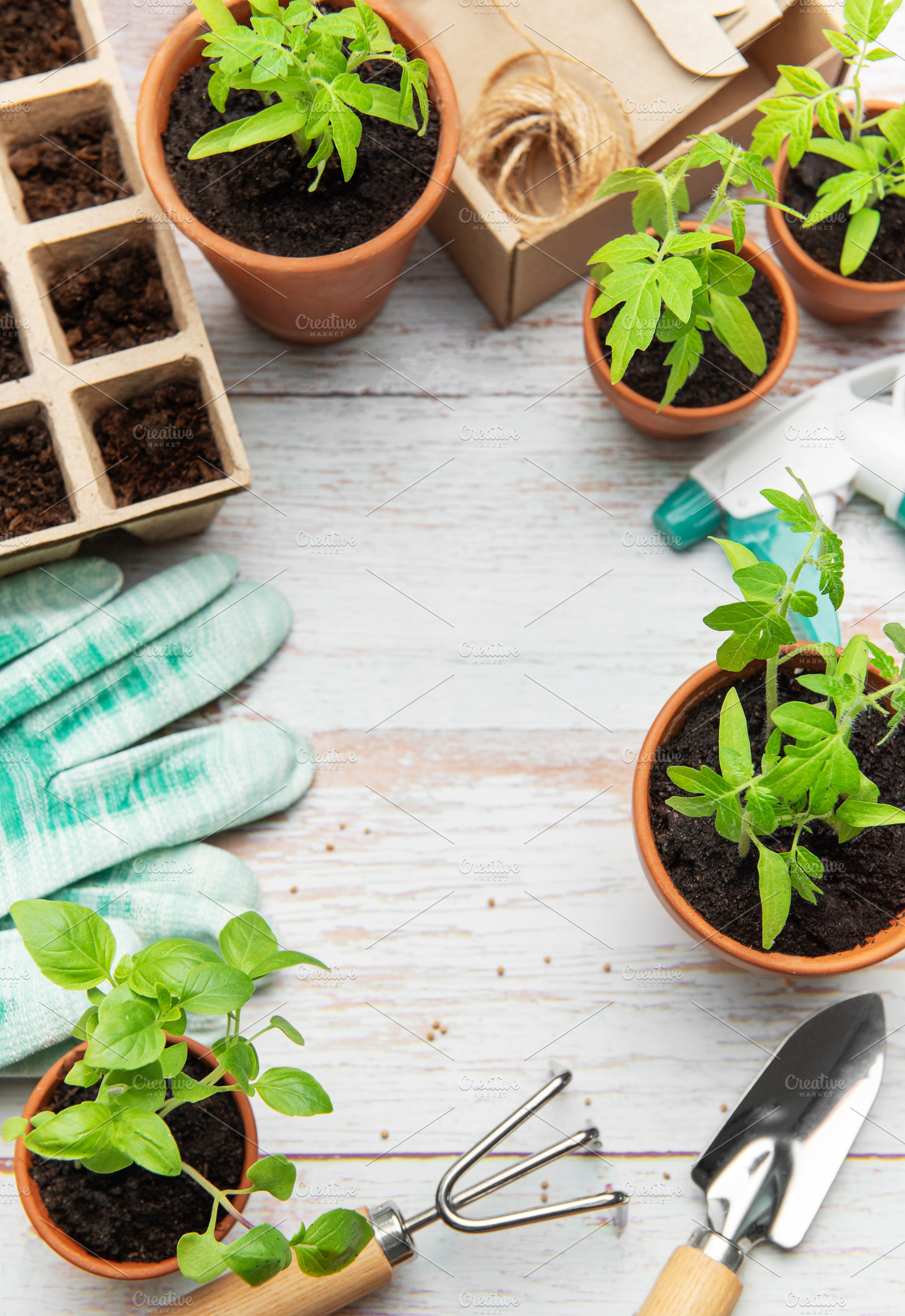 Gardening tools, terracotta pots, seedlings and peat pots formin, a Nature Photo by Olena Rudo