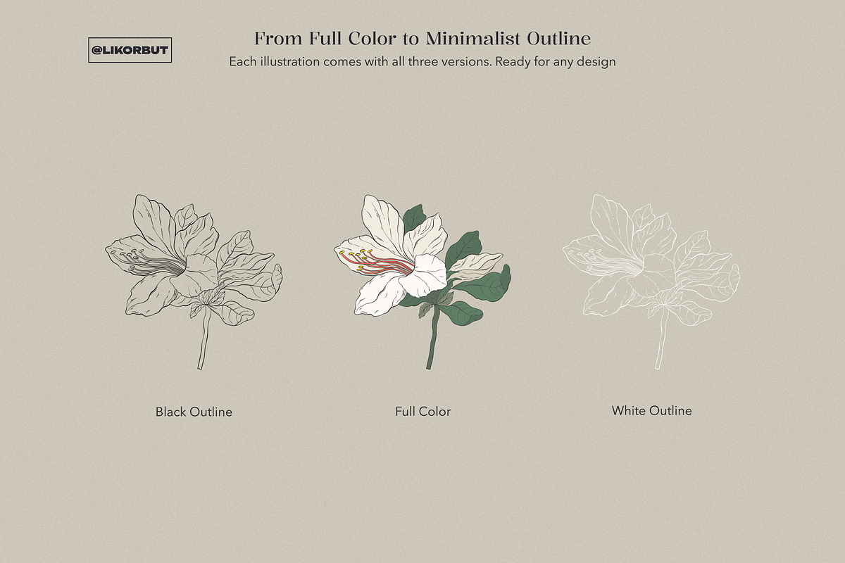 Garden Botanical Illustrations, a Decorative Illustration by likorbut (Photo 5 of 6)