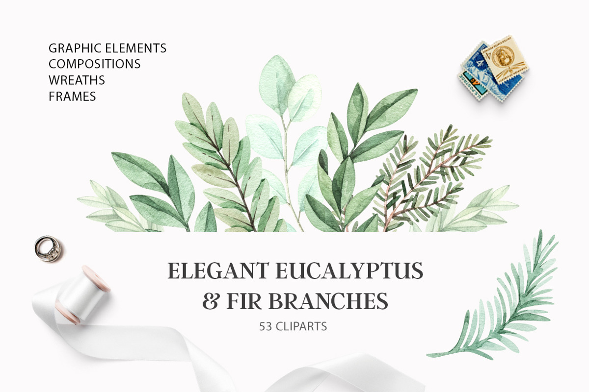 Elegant eucalyptus & fir branches, a Decorative Illustration by Kate Macate (Photo 1 of 6)