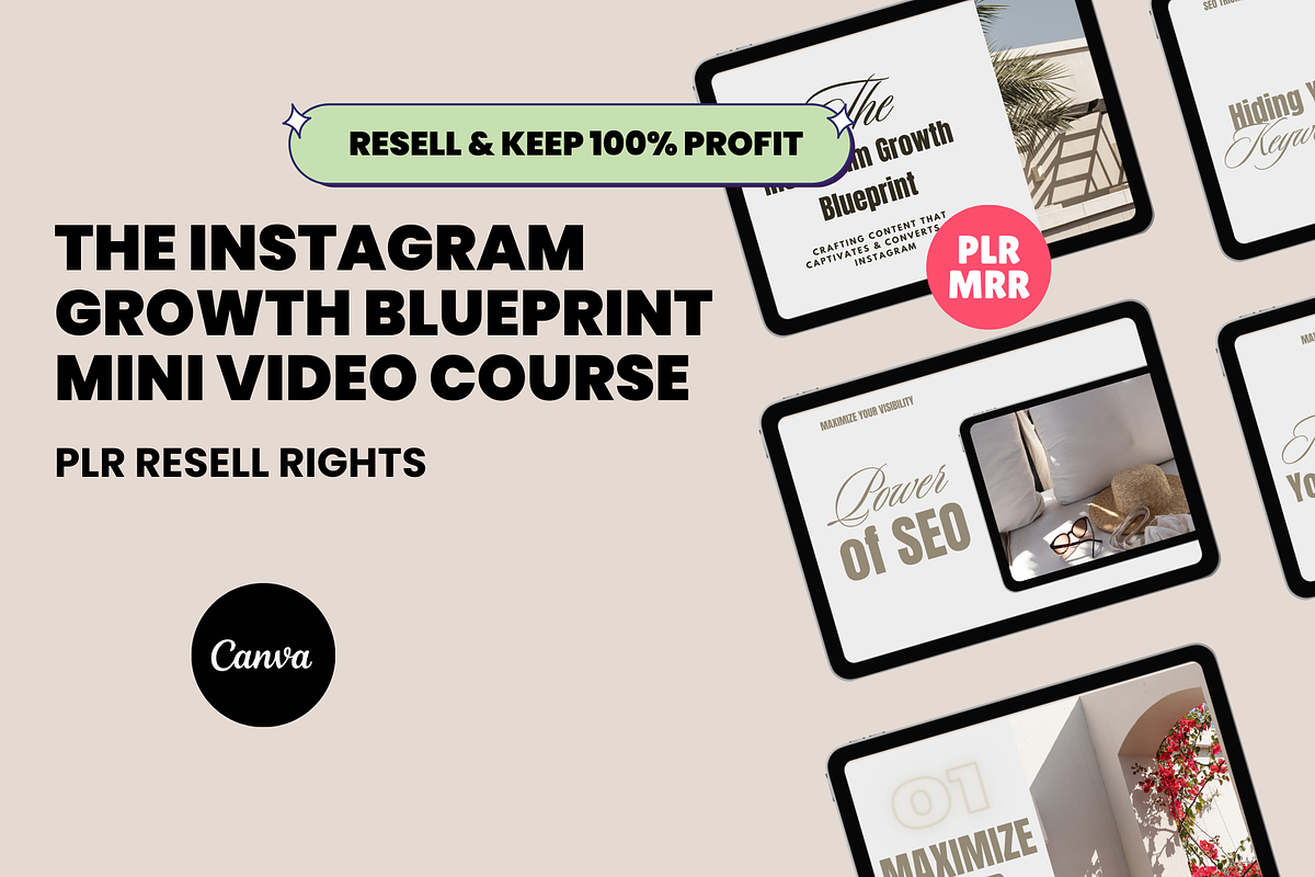 MRR Instagram Growth Course IG PLR, a Social Media Template by Design By Hira (Photo 1 of 9)