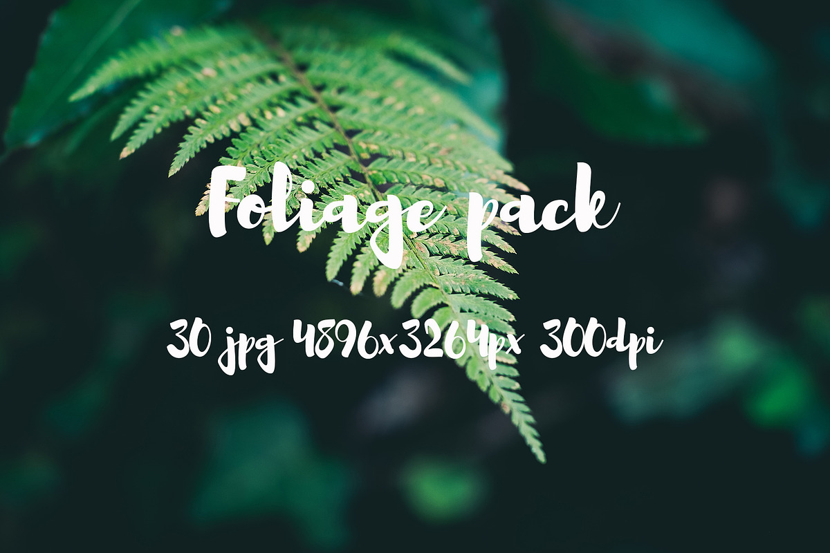 Foliage pack, a Templates & Theme by ApertureVintage (Photo 8 of 21)