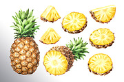 Tropical Pineapple. Hand painted, a Food Illustration by Daria Ustiugova (Thumbnail 26 of 28)