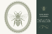 Calligraphic set of vintage flourish, an Object Illustration by FleurArt (Thumbnail 9 of 12)