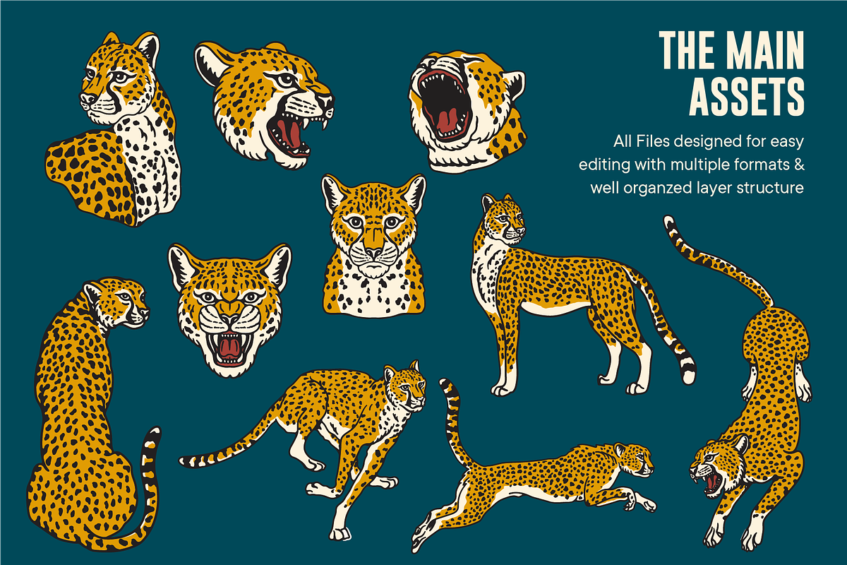 Vintage Cheetah Illustrations, an Animal Illustration by ARQAM Studio (Photo 2 of 9)