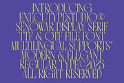Senowar Display, a Sans Serif Font by executypeStudio (Thumbnail 4 of 11)