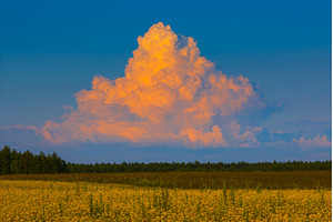 Cumulonimbus storm cloud in the, a Nature Photo by Lukas Jonaitis SHOP