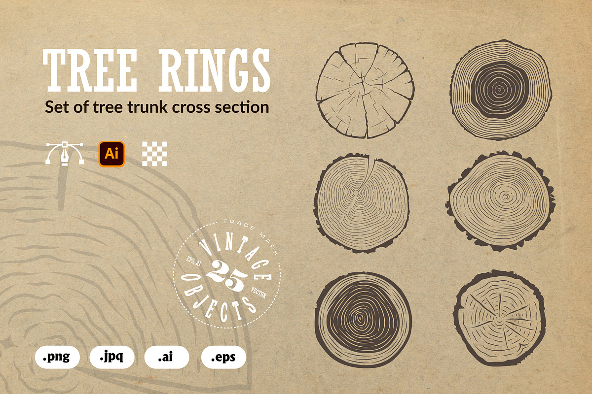 Tree trunk cross section., an Object Graphic by DOBROGRAPH (Photo 1 of 7)