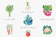 Watercolor vegetable clipart set, a Decorative Illustration by Patishop Art (Thumbnail 5 of 8)