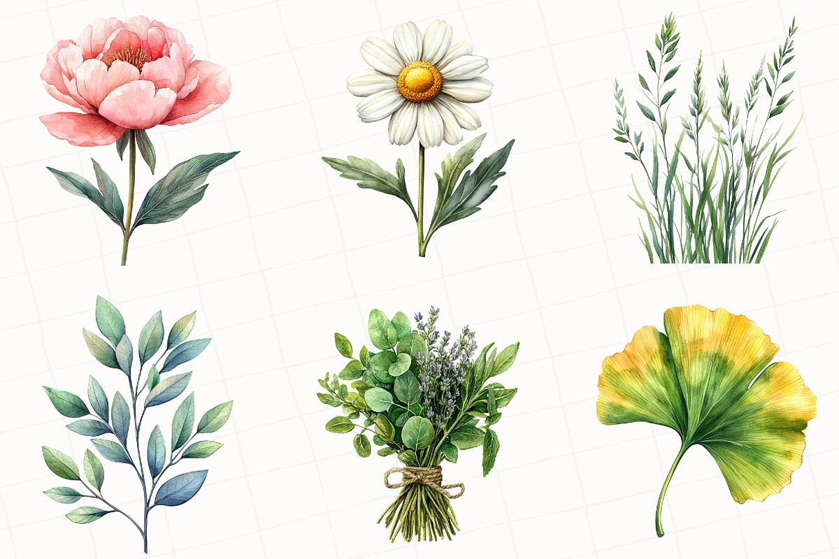 Vintage Botanical Clipart, an Illustration by OK Design (Photo 2 of 5)