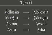 Hattori Elegant Font, a Serif Font by Zane Studio (Thumbnail 12 of 13)