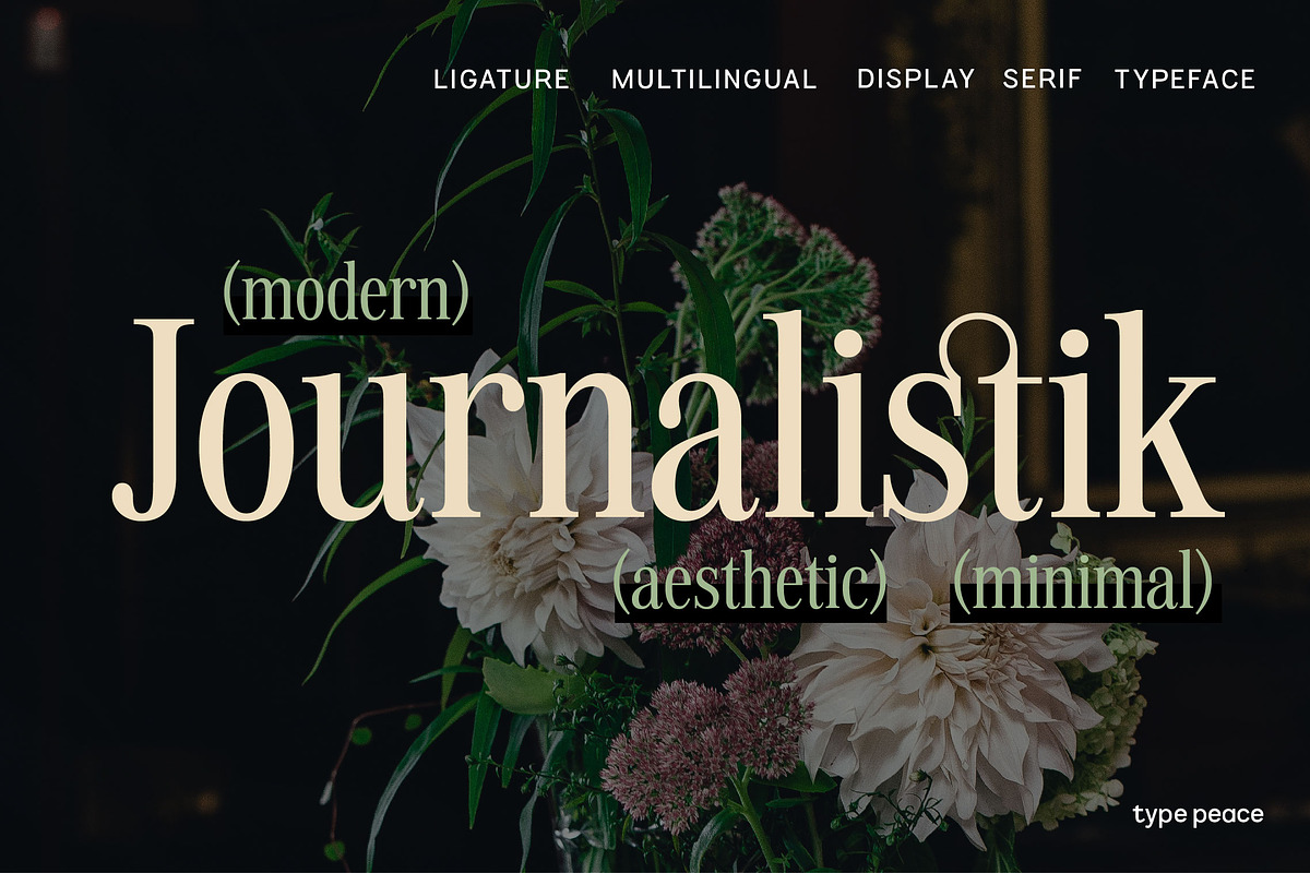 JOURNALISTIK | Multilingual Serif, a Serif Font by type peace (Photo 13 of 13)