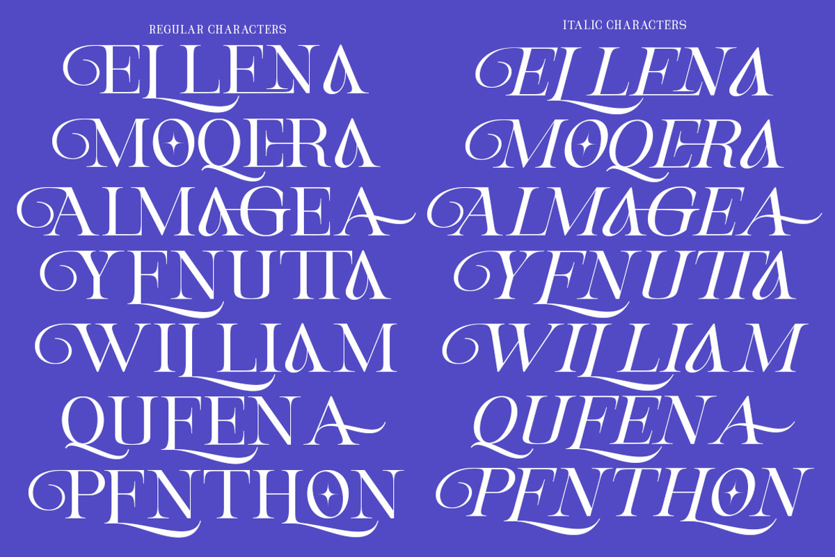 Magerla Serif, a Serif Font by IM Studio (Photo 6 of 12)
