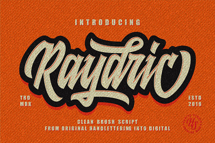 Raydric Script + Shadow outline, a Script Font by HanzelSpace Studio