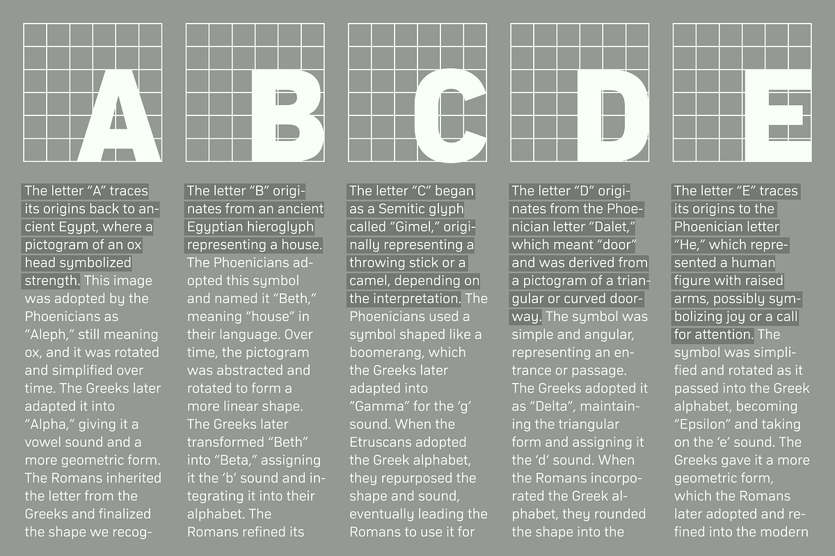 Compasse, a Sans Serif Font by Dharma Type (Photo 9 of 10)