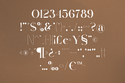 VSOP - elegant serif, 70 fonts, a Serif Font by VP Fonts (Thumbnail 17 of 21)