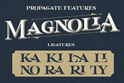 Propagate - Vintage Serif, a Sans Serif Font by Graptail (Thumbnail 7 of 12)