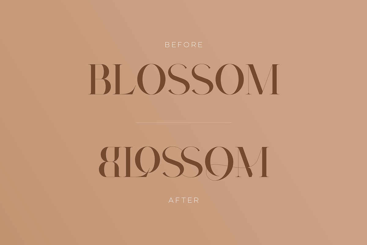Type Prodigy - serif logo font, a Serif Font by VP Fonts (Photo 3 of 24)