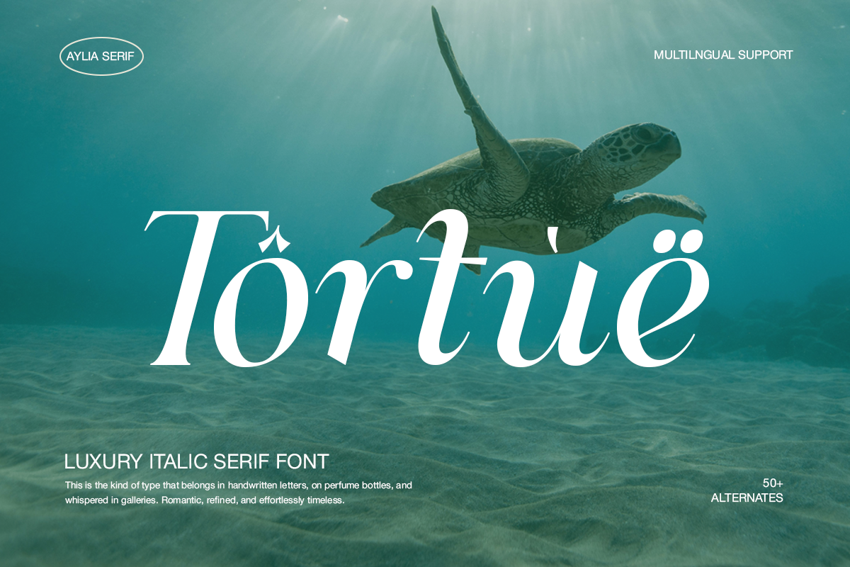 Aylia - Modern Luxury Serif, a Serif Font by Pandeka Studio (Photo 7 of 9)